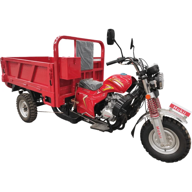 200cc Gasoline Three Wheel Adult Tricycle Motorcycle Motorized ...