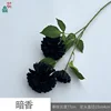 Dark Fragrance Y Black