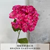 Hortensia de manzano silvestre