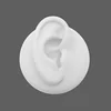 White Right Ear