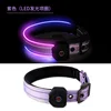 Purple (LED illuminated necklace)