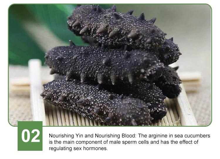 sea cucumber buyer