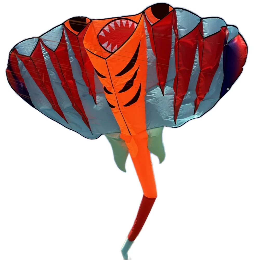 3D 12.5M 2-color Ray Soft Kite Outdoor Beach Professional Kites Umbrella Cloth Waterproof and Tear Resistant Inflatable Kite