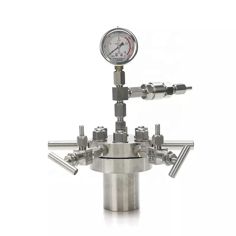 Easy Operation Reactor Micro Reactor Laboratorio 100 ml 500 ml 600ml Stainless Steel Ptfe Lined Stirred High Pressure Autoclave