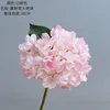 White pink
