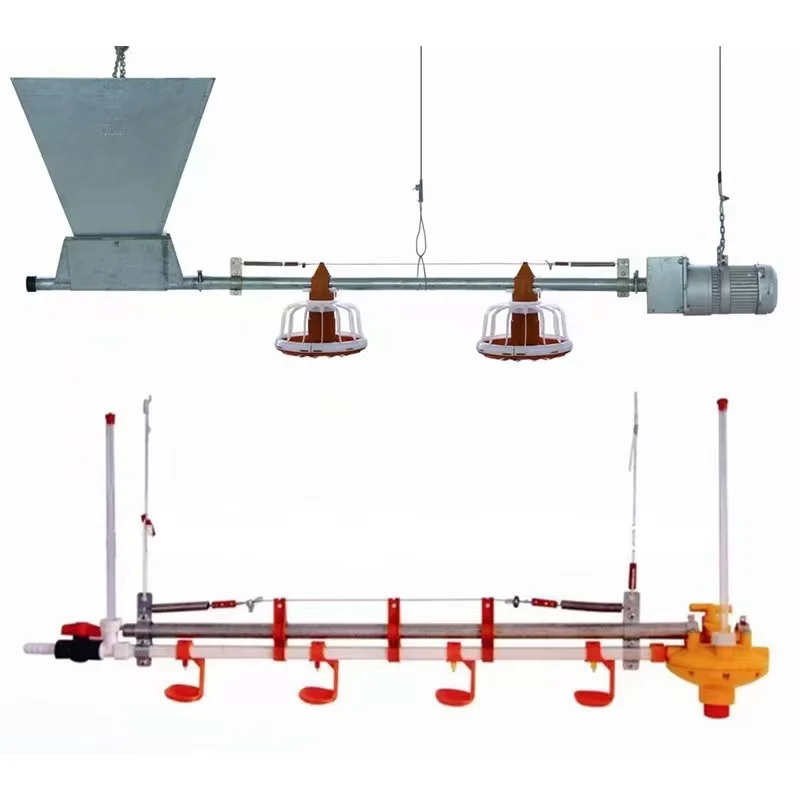Automatic Poultry Feeding System