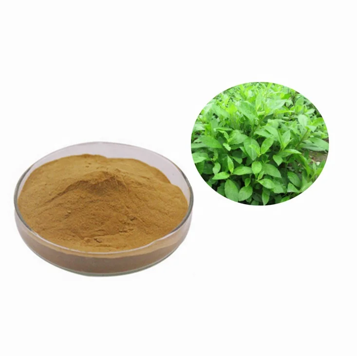 Free Sample Natural Gynura Procumbens Extract Powder