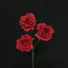 สีแดง