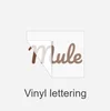 Vinyl letters