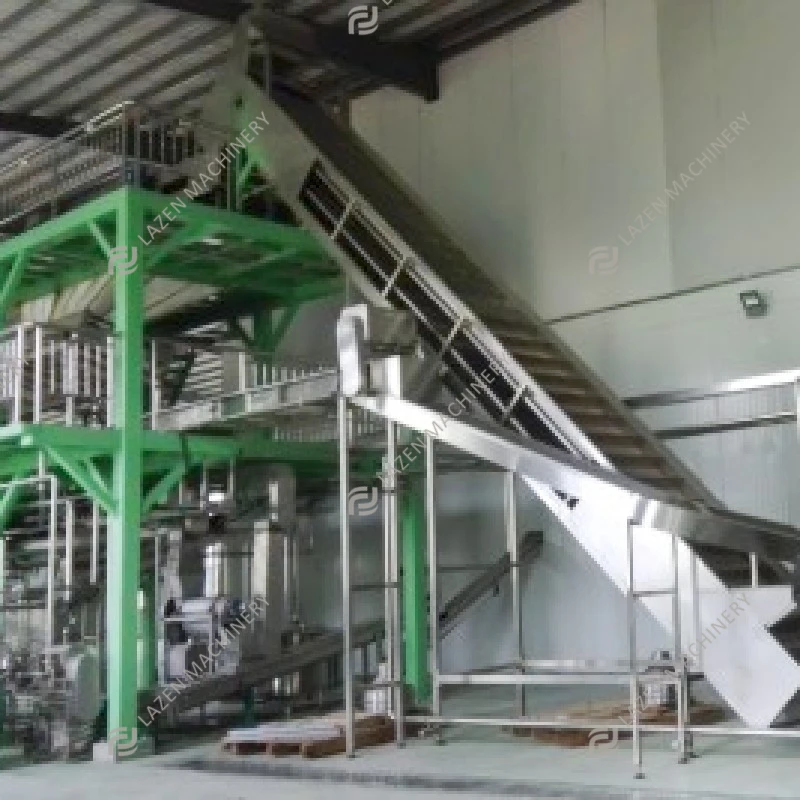 Turnkey Solution for Pumpkin Processing Line Production Plant