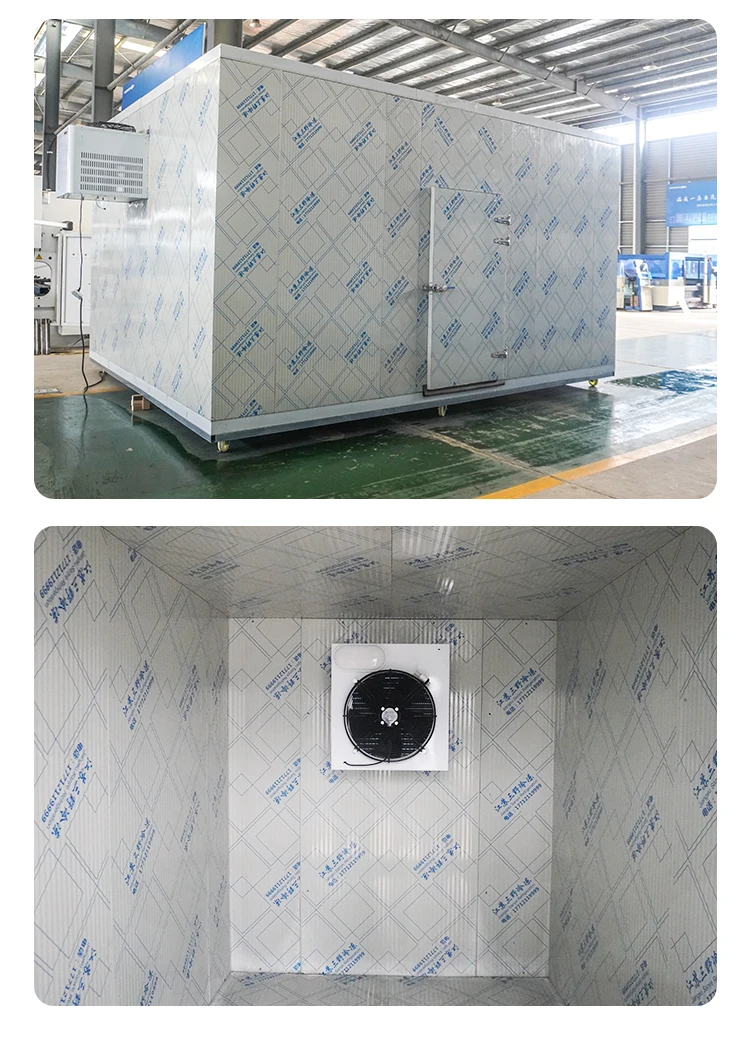 Freezer, 10ftx10ftx8ft, 110v~480v, R-404a - detail 30