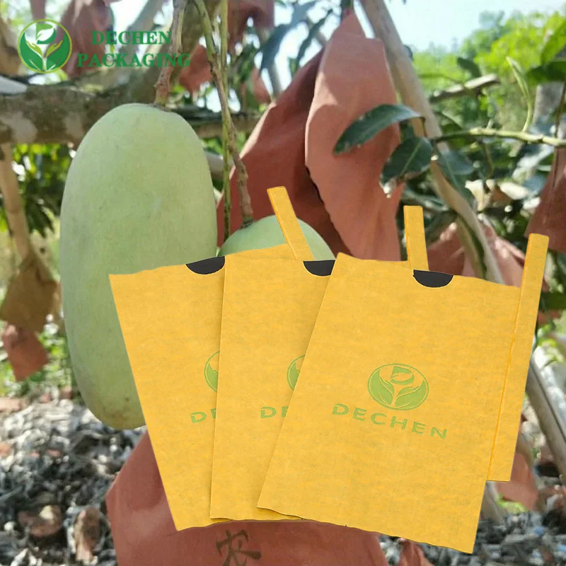 Fruit Protection Mango Guava Paper Bag Sri Lanka
