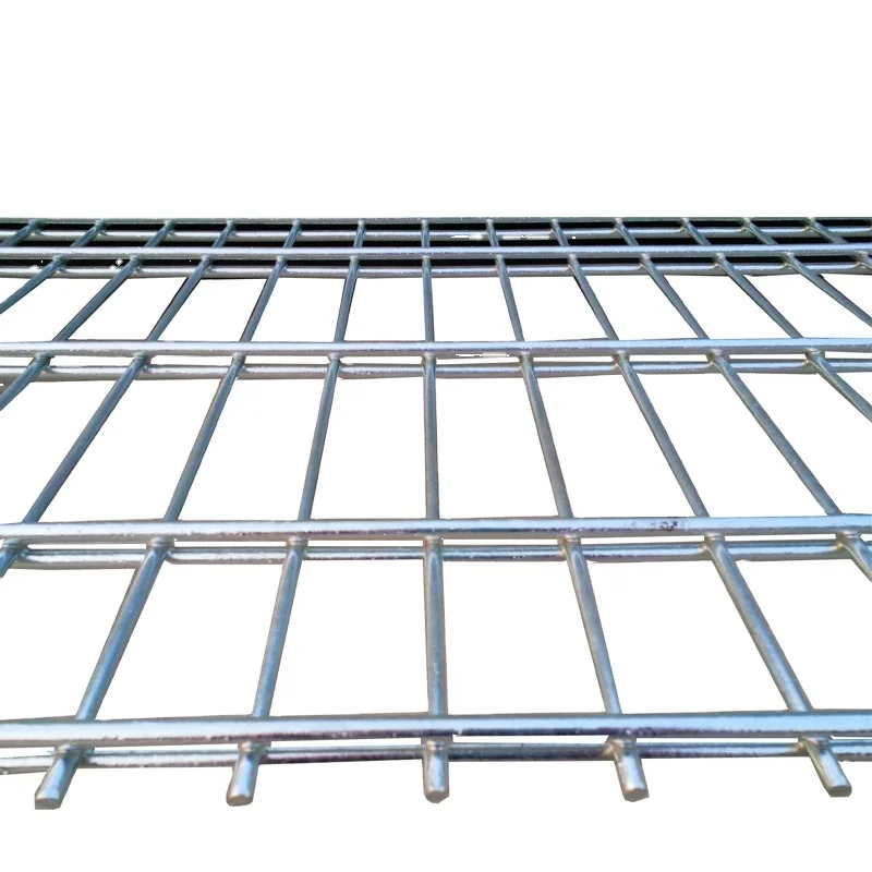Cheap Price Decorative High Security Welded Mesh Metal Fence 868 Double Wire Fence 2D Mesh for Garden