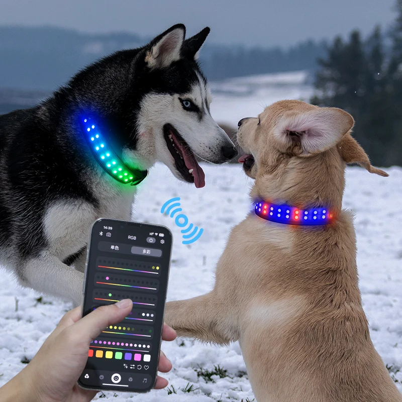 Smart Phone APP Control  Highlight LED Pet Collar with Pin Buckle Luminous Dog Necklace
