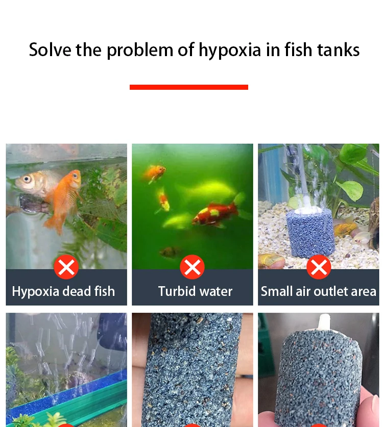 fish accessories online