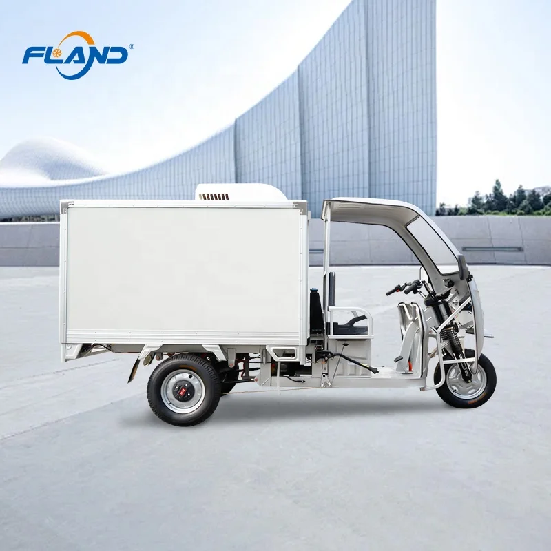 Refrgerated Tricycle Refrigerator Frozen Tricycle Reefer with Cooler Box