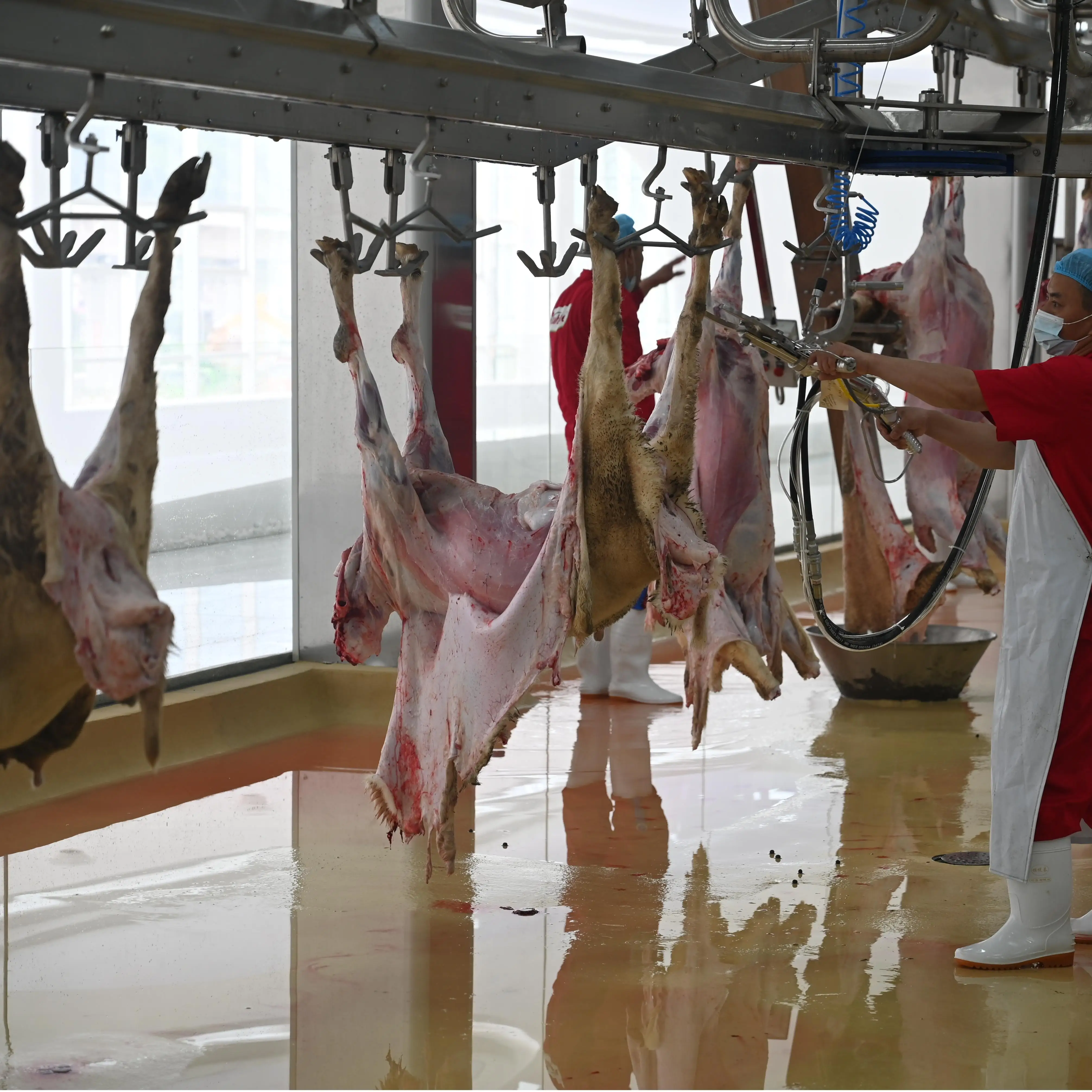 Mutton slaughterhouse equipment and lamb slaughterhouse capable of processing 80 sheep per hour