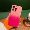 Rosa rosa