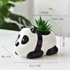 panda C