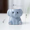 multicolore D