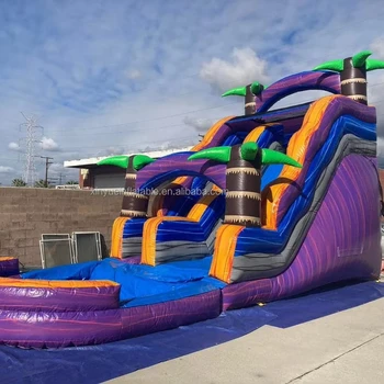 15ft 16ft 20ft 22ft 23ft 24ft 25ft Waterslide Inflatables Double Slide Inflatable Waterslide With 4 Slides