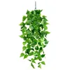 Pothos - without pot