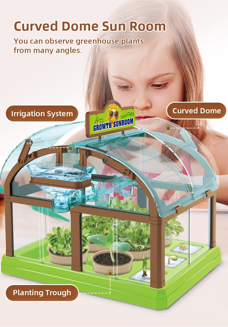 Kid Science Toys Experiment Kit Educational Mini Natural Plants Solar