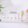 White  Corn growth history