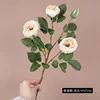 Autumn Champagne (4 heads)