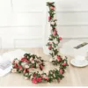 Red Champagne Rose Vine