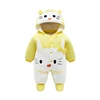 Gatto giallo