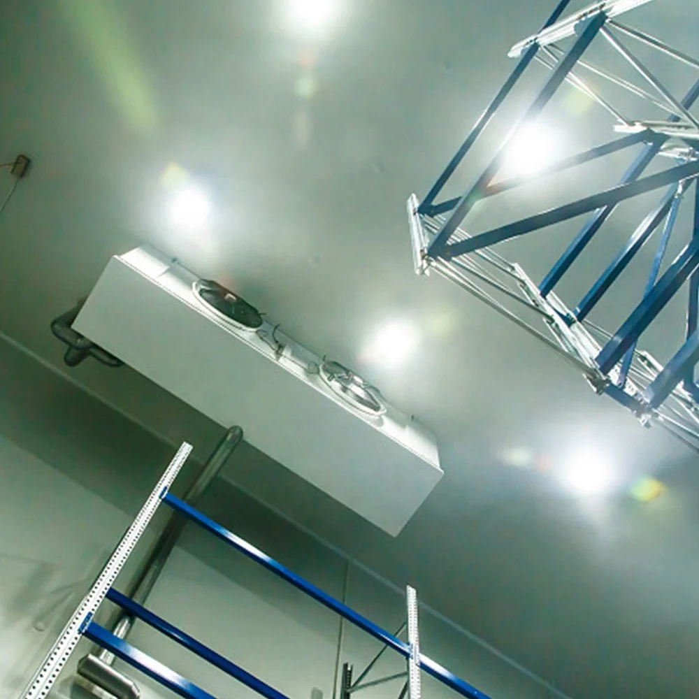 Easy Installation Walk in Vegetable Processing Plant Cold Room Cold Storage Plant Commerical Industrial Cool Rooms