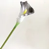 SKU4