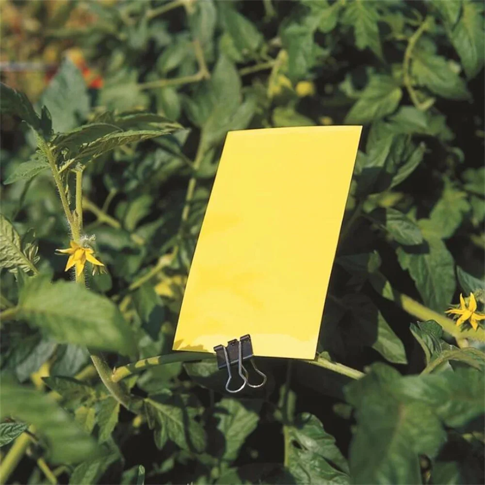 Pièges à Insectes, Anti Oucherons Interieur Étanche Jaunes Plug-in Piège à Ouches 21Pcs