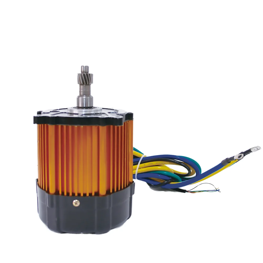 48V 1000W Motor Electric Rickshaw Motor High Torque BLDC Motor