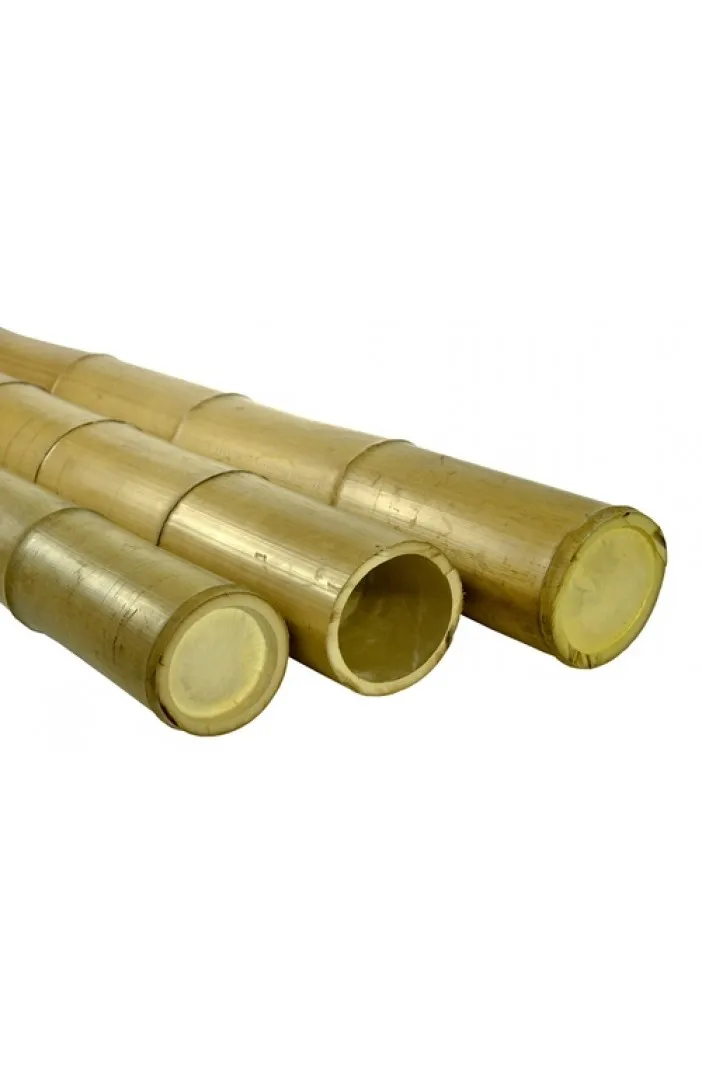 Оптовая продажа бамбуковые трости/бамбуковый столб для садоводства поддержка сельского хозяйства по лучшей