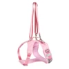 forward pink