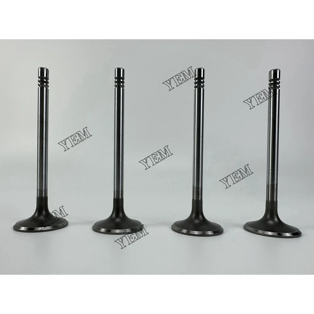 Taiwan Factory Wholesale High Quality D34 Engine Valve in for Doosan