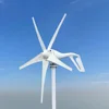 1000w 24v
