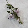 Blanco roto
