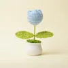 Plantas en maceta de tulipán azul claro