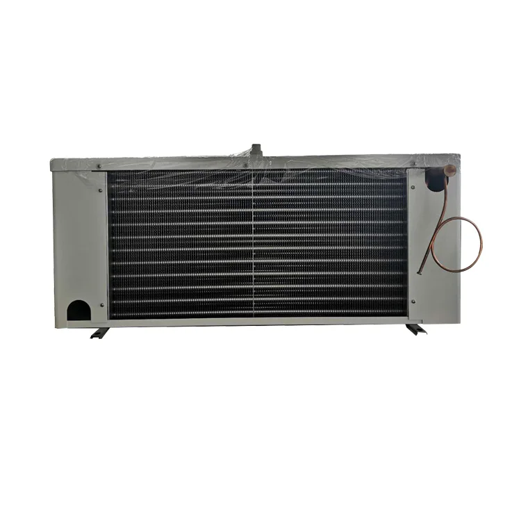 SPBE041D Fin Spacing 6mm Low Temperature Cold Room Evaporator 220v air Cooler for Cold Room
