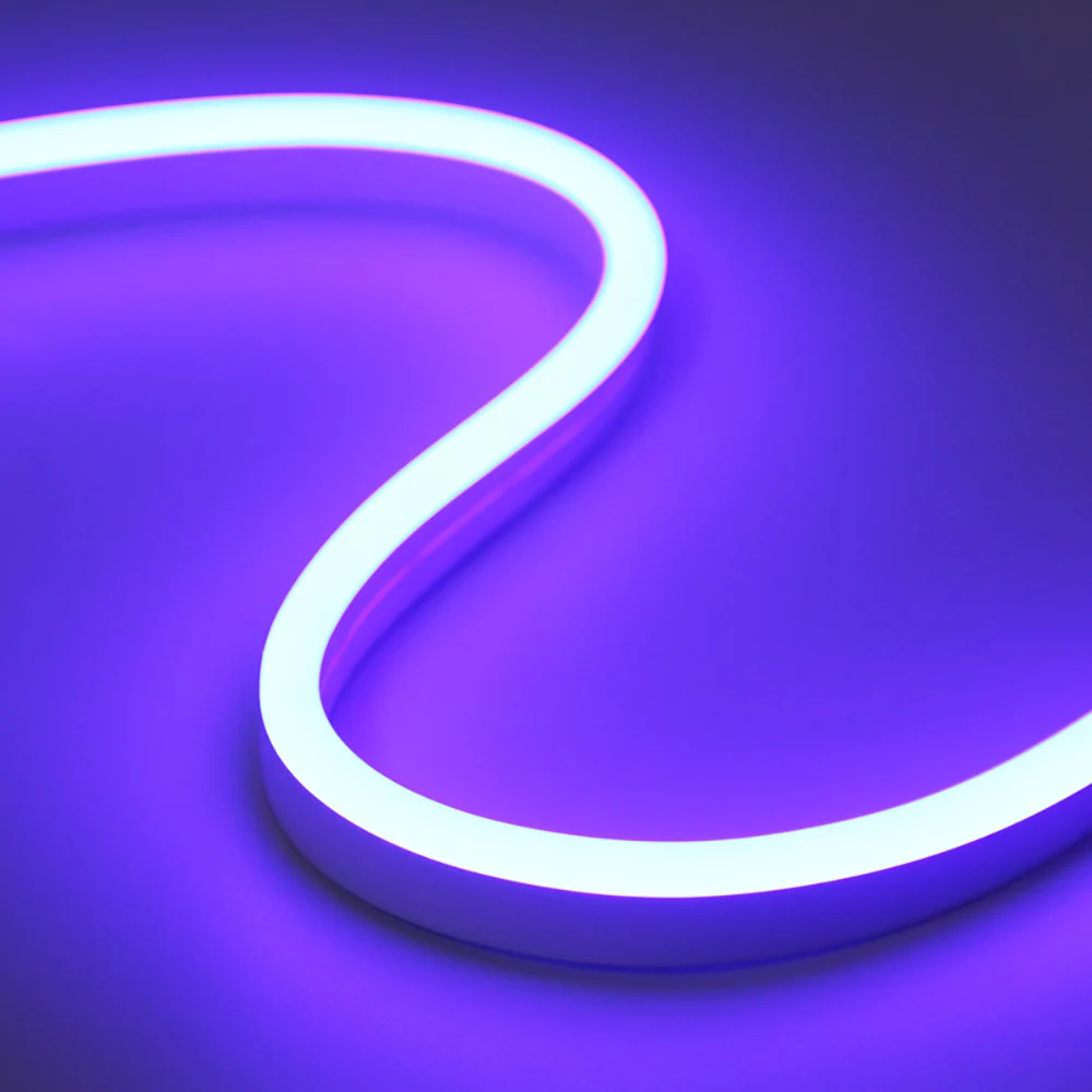 purple02.jpg