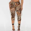 Leopardo