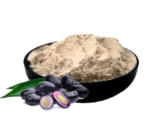 Wholesale Jamun Extract Powder Natural Syzygium Cumini Extract Rich in Antioxidants Bulk Supply for Supplements