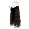 Black Brown 1