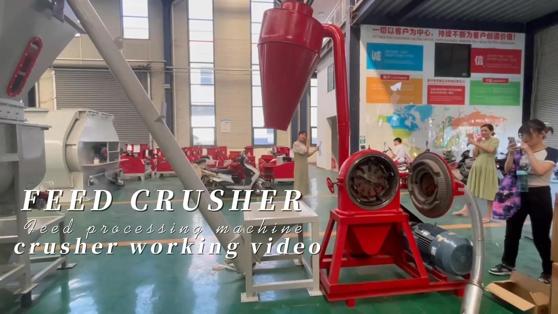 Livestock Hammer Mill Feed Grinder Animal Feed Processing Line