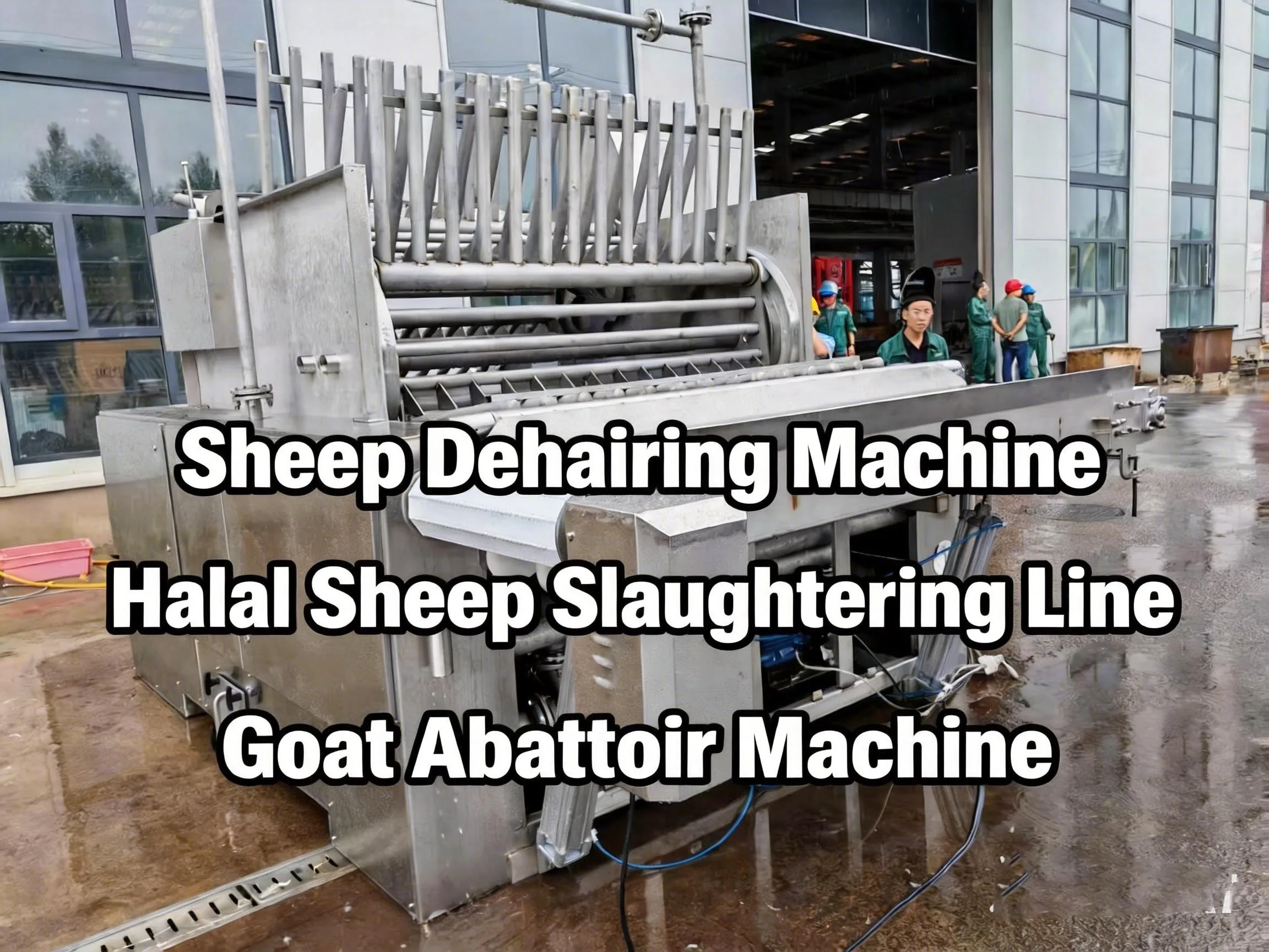 100-1000  High Capacity Complete Sheep Slaughter Equipment Turnkey Project Halal Goat Abattoir Machine for Large Slaughterhouse