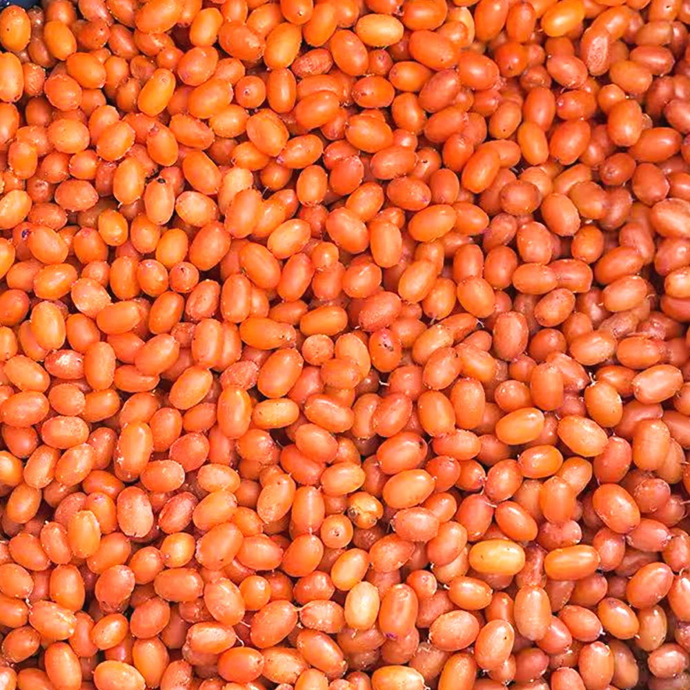 IQF Təzə Dondurulmuş Dəniz Qarası Toptan Qiyməti IQF Dondurulmuş Meyvələr Partiyası 10 kq Dondurulmuş Dəniz Qarası