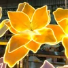Bande lumineuse iris 60CM (tête de fleur)